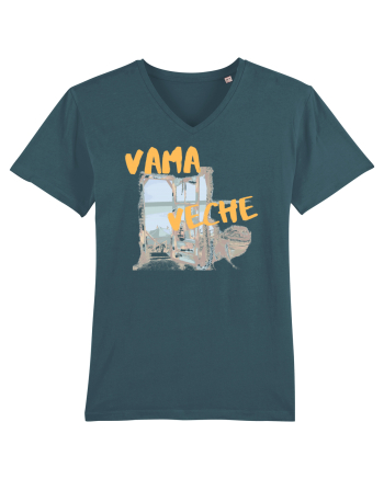 Vame Veche Stargazer