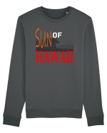 Sun Of Hawaii Bluză mânecă lungă Unisex Rise