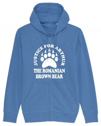 Justice For Arthur The Romanian Brown Bear Bright Blue