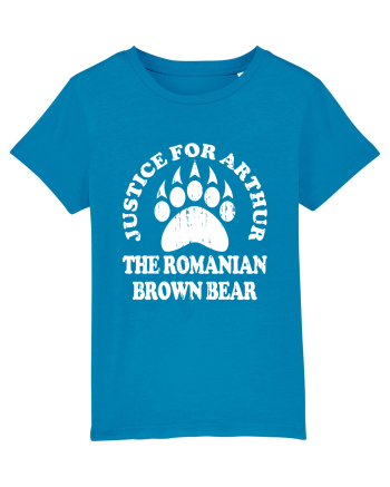 Justice For Arthur The Romanian Brown Bear Azur