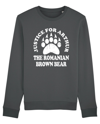 Justice For Arthur The Romanian Brown Bear Anthracite