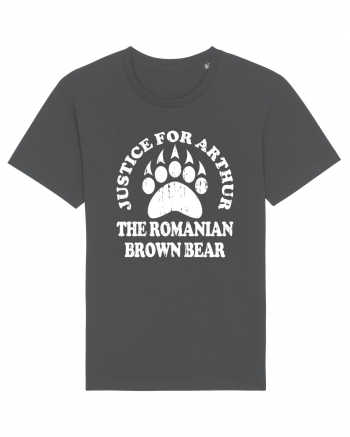 Justice For Arthur The Romanian Brown Bear Anthracite