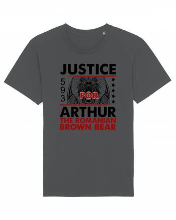Dreptate pentru Arthur, cel mai mare urs din Romania Anthracite
