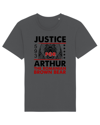 Dreptate pentru Arthur, cel mai mare urs din Romania Anthracite