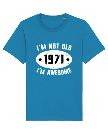 I'm Not Old I'm Awesome 1971 Azur