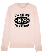 I'm Not Old I'm Awesome 1973 Bluză mânecă lungă Unisex Rise
