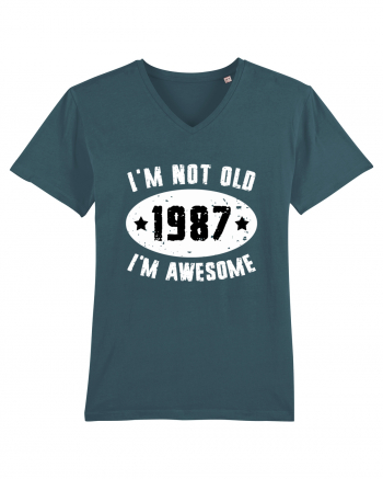 I'm Not Old I'm Awesome 1987 Stargazer