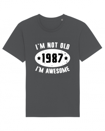 I'm Not Old I'm Awesome 1987 Anthracite
