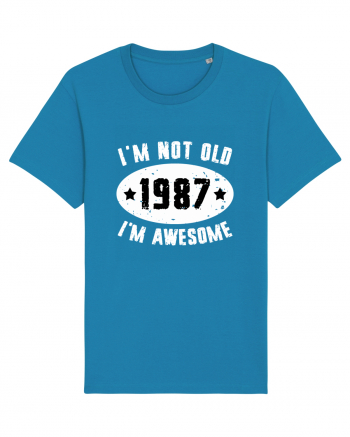 I'm Not Old I'm Awesome 1987 Azur