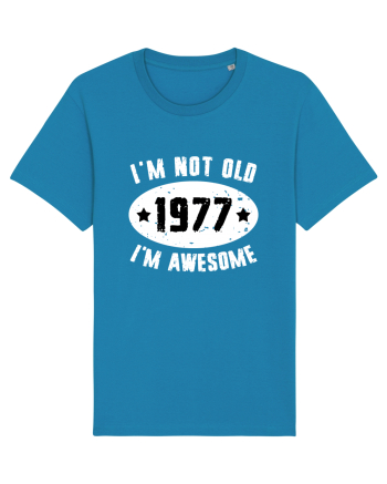 I'm Not Old I'm Awesome 1977 Azur