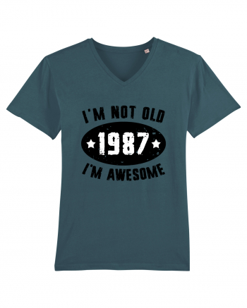 I'm Not Old I'm Awesome 1987 Stargazer