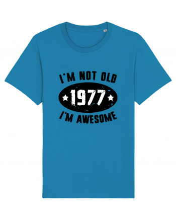 I'm Not Old I'm Awesome 1977 Azur