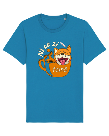 Shiba Inu Caine Cafea Ni Ce Zi Faina Ardelean la Drumetie Azur
