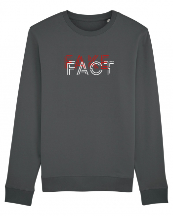 Fake Fact Anthracite