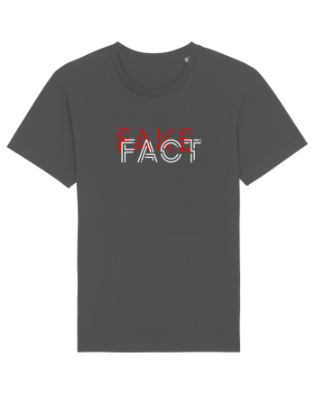Fake Fact Anthracite