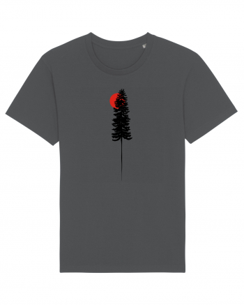 Pine tree Anthracite