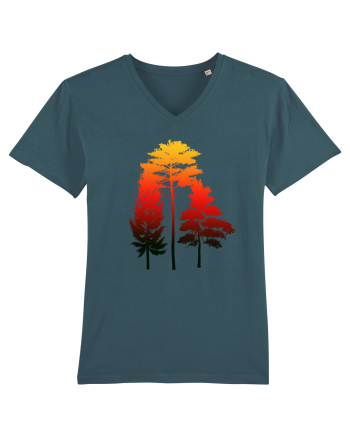 Forest Stargazer