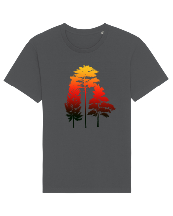 Forest Anthracite