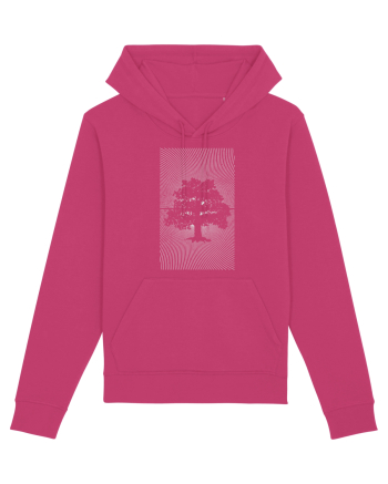 Stejar Raspberry