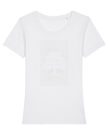 Stejar White