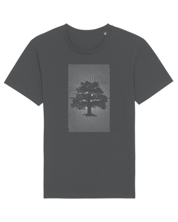 Stejar Anthracite