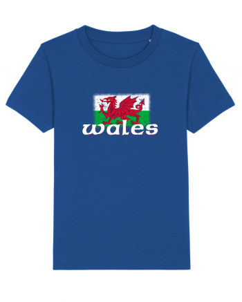 Wales Majorelle Blue