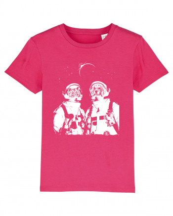 Cat and Dog  Astronauts Raspberry