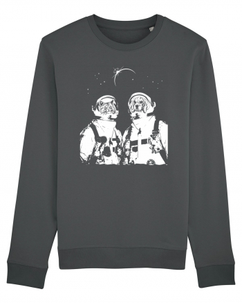 Cat and Dog  Astronauts Anthracite