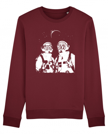 Cat and Dog  Astronauts Burgundy