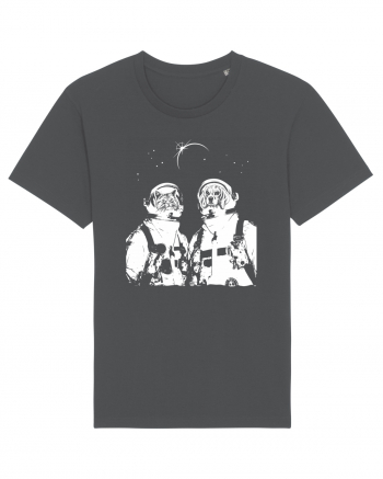 Cat and Dog  Astronauts Anthracite