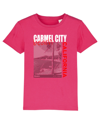 Travel. California Raspberry