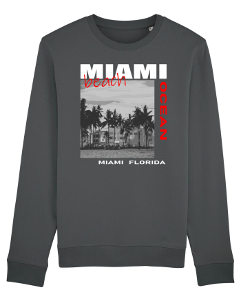 Miami Florida Anthracite