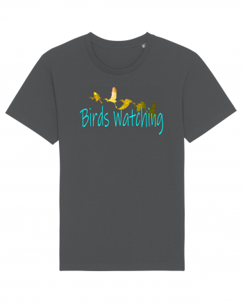 Birds Watching Anthracite