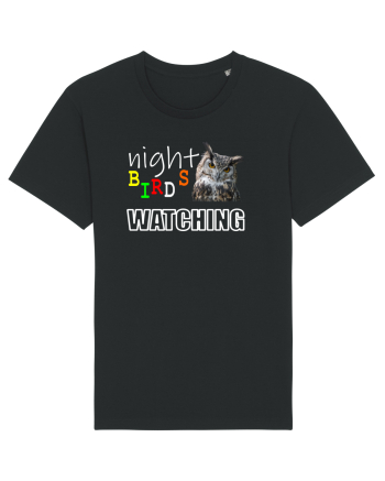 Night Birds Watching Black