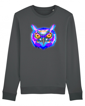 Skull Neon Owl Bluză mânecă lungă Unisex Rise