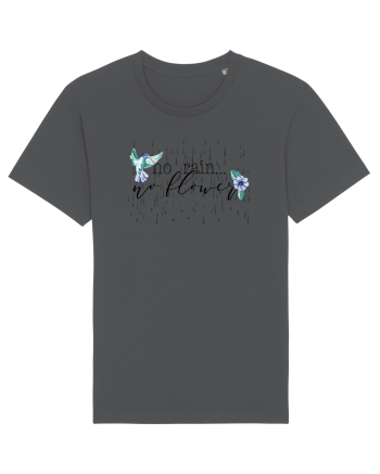 No Rain, No Flower Anthracite