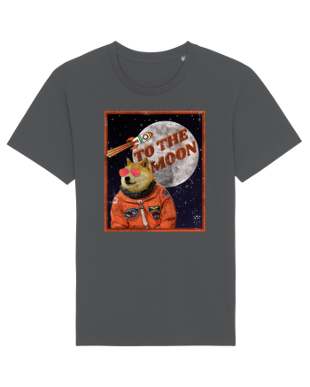 To The moon  Dogecoin Astronaut  Anthracite