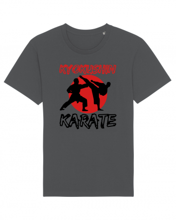 Kyokushin Karate  Anthracite