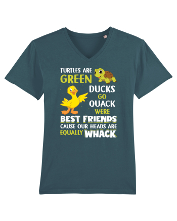 Turtles And Ducks Stargazer