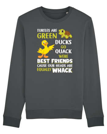 Turtles And Ducks Anthracite