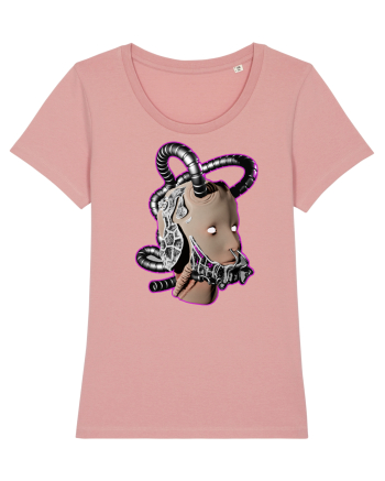 Robot Canyon Pink