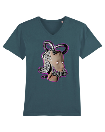 Robot Stargazer