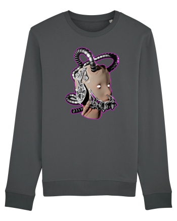Robot Anthracite