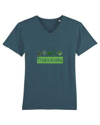 Summer Breeze - Tropical Vibes  Stargazer