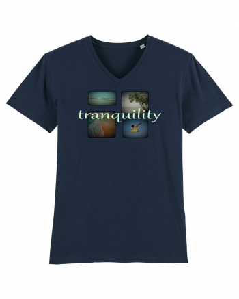 Tranquility French Navy