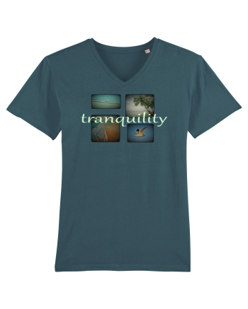 Tranquility Stargazer