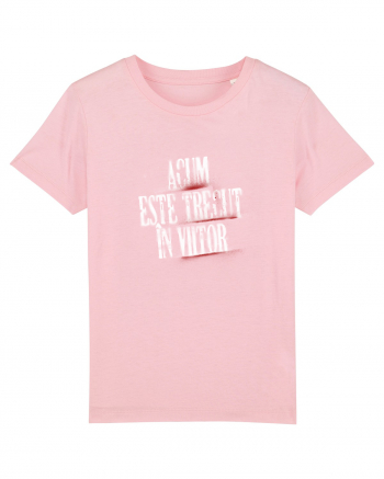 Acum este trecut la viitor (white spray) Cotton Pink