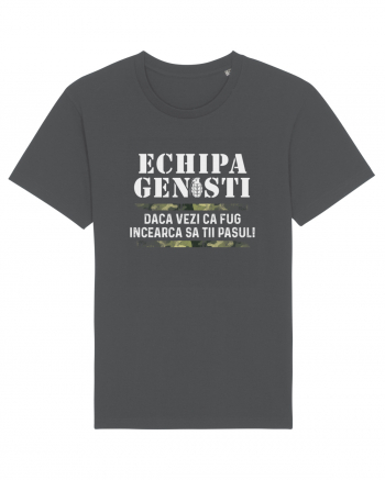 Genisti Anthracite