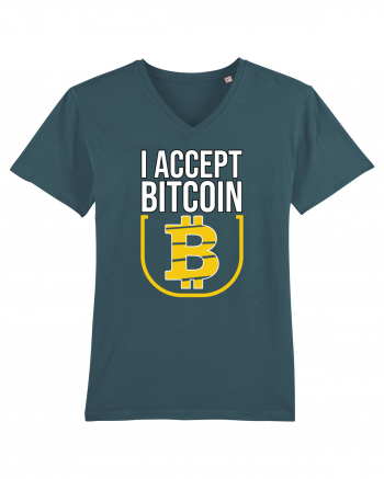 I Accept Bitcoin Stargazer