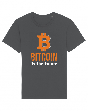 Bitcoin Is The Future Anthracite